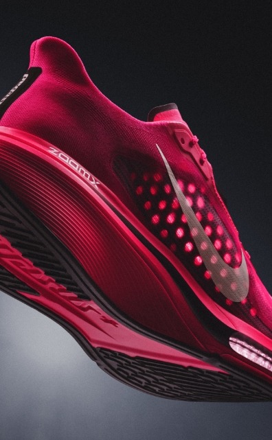 se_nike pegasus plus 2