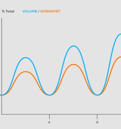 Guide: Periodisering - definition och tillämpning