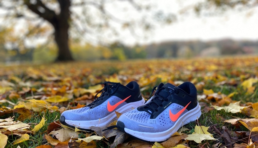 Nike Zoom Structure 23